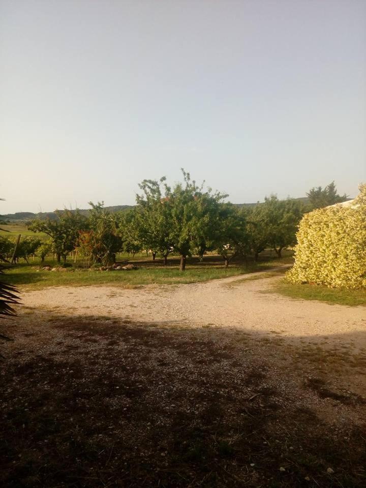 Residenza Agrituristica Santa Lucia Con Piscina Apartment Alghero Luaran gambar
